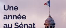 Une année au Sénat